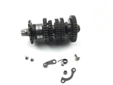 Kawasaki ZX6R ZX600P 07-08 Motor Getriebe